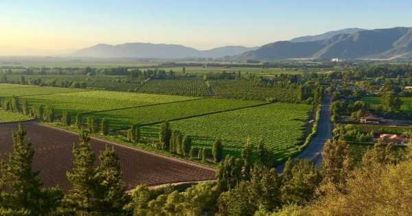 Colchagua Valley and Its Wines
