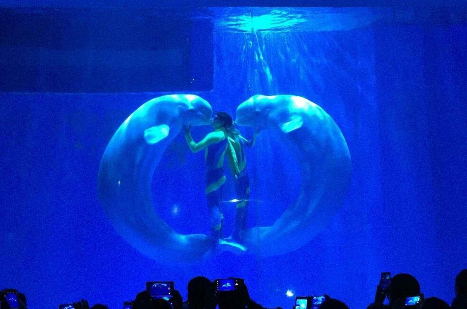 3-Day Private Harbin Winter Family Vacation