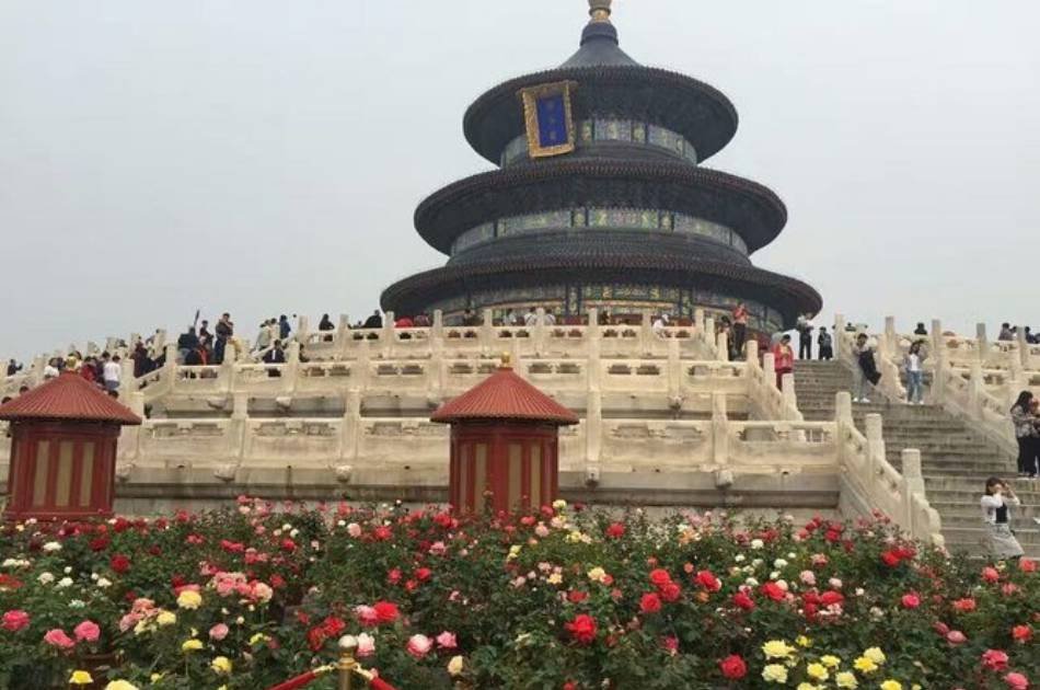 Beijing Full Day Forbidden City and Temple of Heaven Private Tour With Lunch