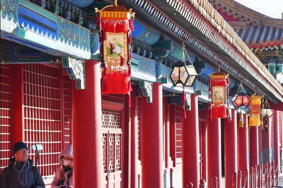 Beijing Full Day Forbidden City and Temple of Heaven Private Tour With Lunch