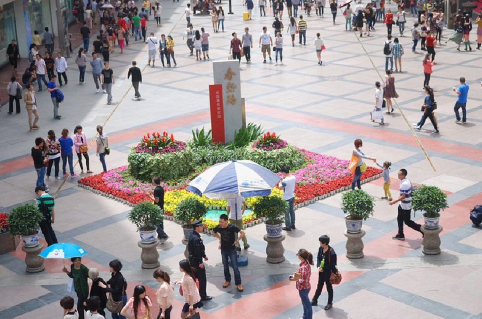 Chengdu Private Tour of Everything Panda Experience