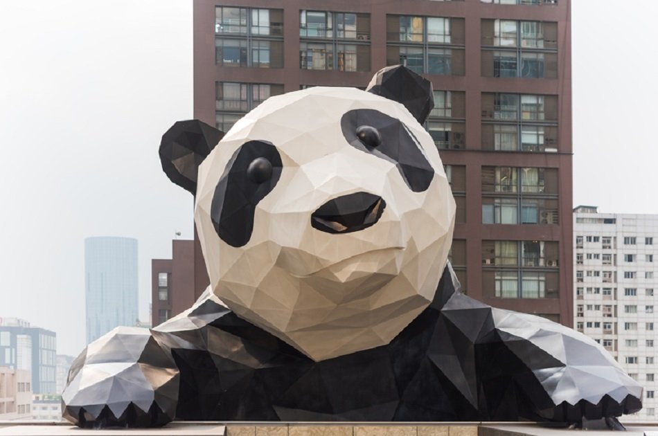 Chengdu Private Tour of Everything Panda Experience