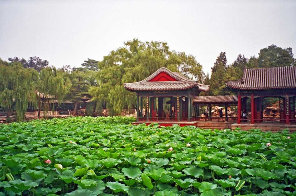 Customizable Beijing Imperial Private Tour With Roast Duck Dinner and Evening Show