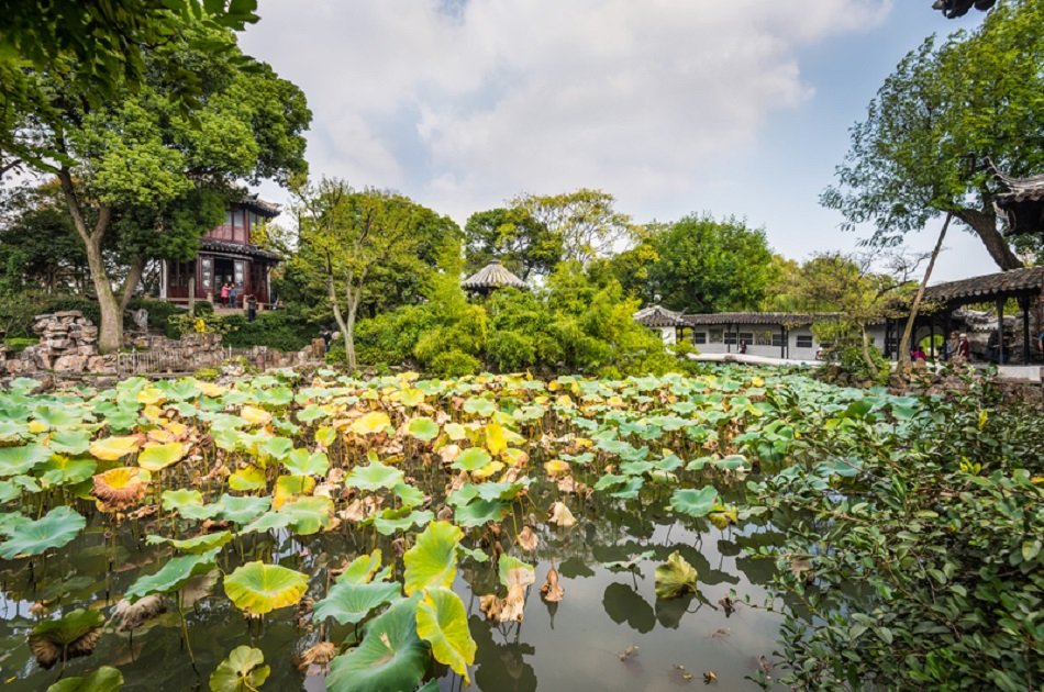 Full Day Private Tour of Suzhou Gardens Discovery