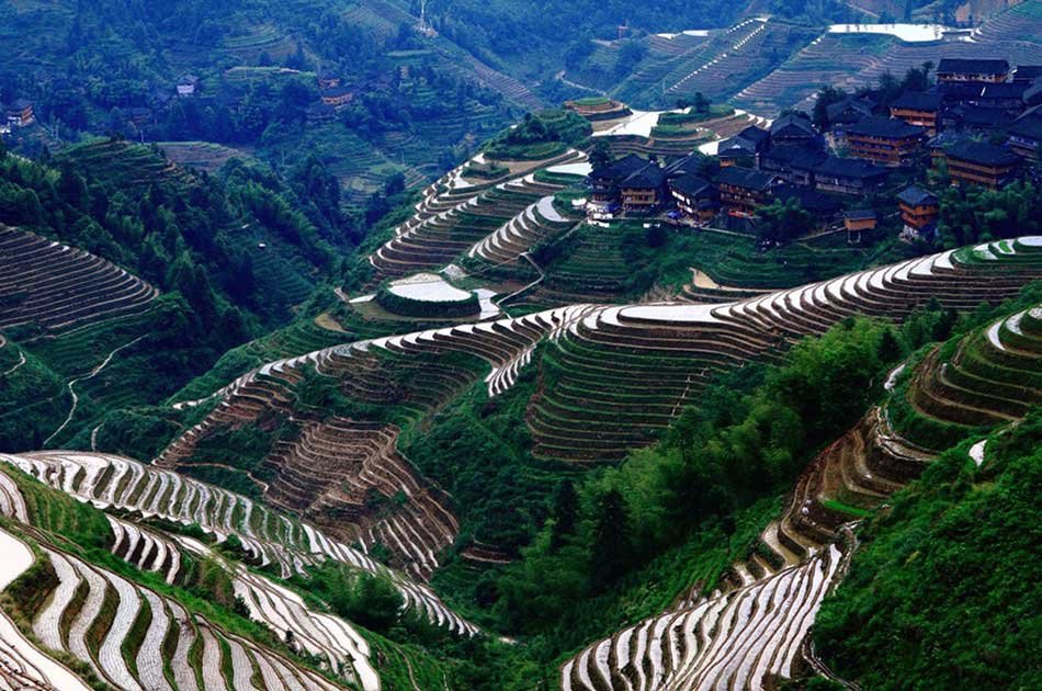 Guilin Tour of Dragon’s Backbone Rice Terraces and Minority Village