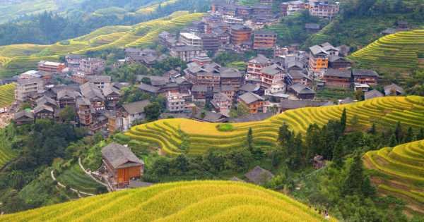 Longji Rice Terraces and Minority Village Private Trip From Guilin