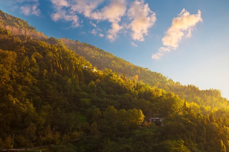 Private Chengdu Panda Trip and Customizable City Sightseeing