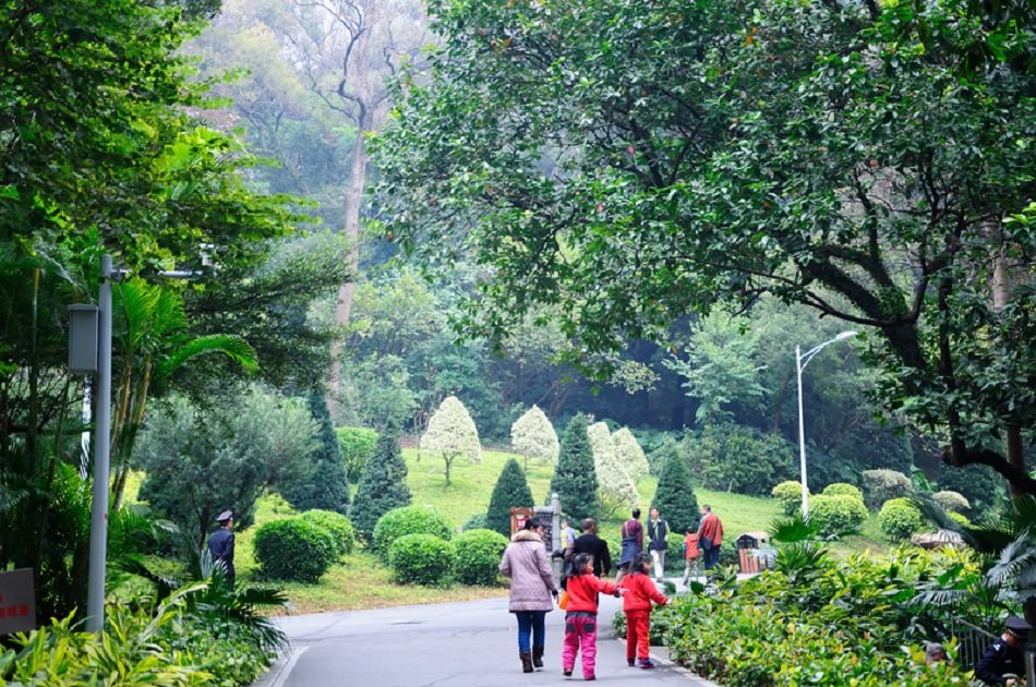 Private Day Tour of Guangzhou Highlights