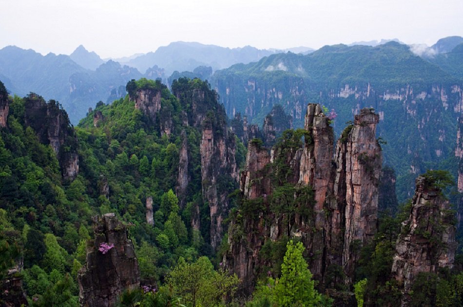 Private Day Trip of Zhangjiajie National Forest Park and Glass Bridge
