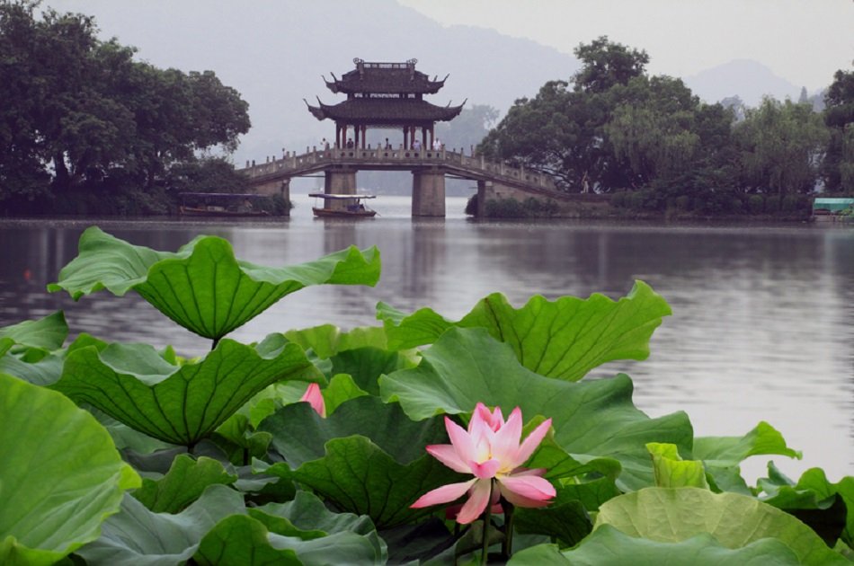 Private Hangzhou Day Tour of Water Town and West Lake