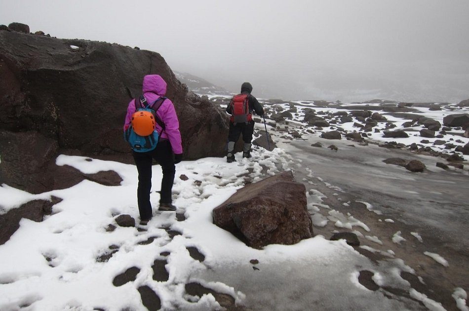 Coffee and Mountains: Eje Cafetero and Los Nevados