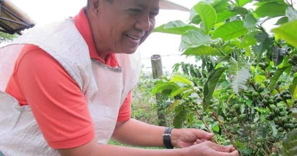 Coffee and Mountains: Eje Cafetero and Los Nevados