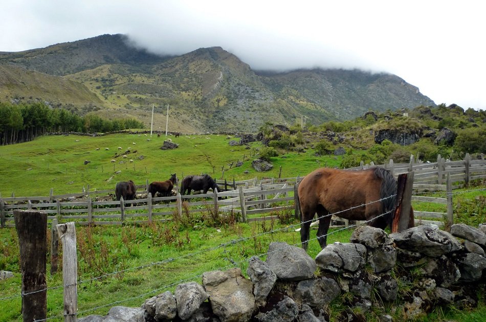 Trekking the El Cocuy Mountain Range