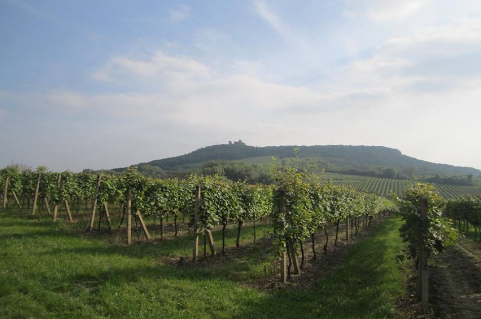 Unesco Lednice - Valtice Chateaux, wine town Mikulov, Palava Hills - Full Day Trip from Brno