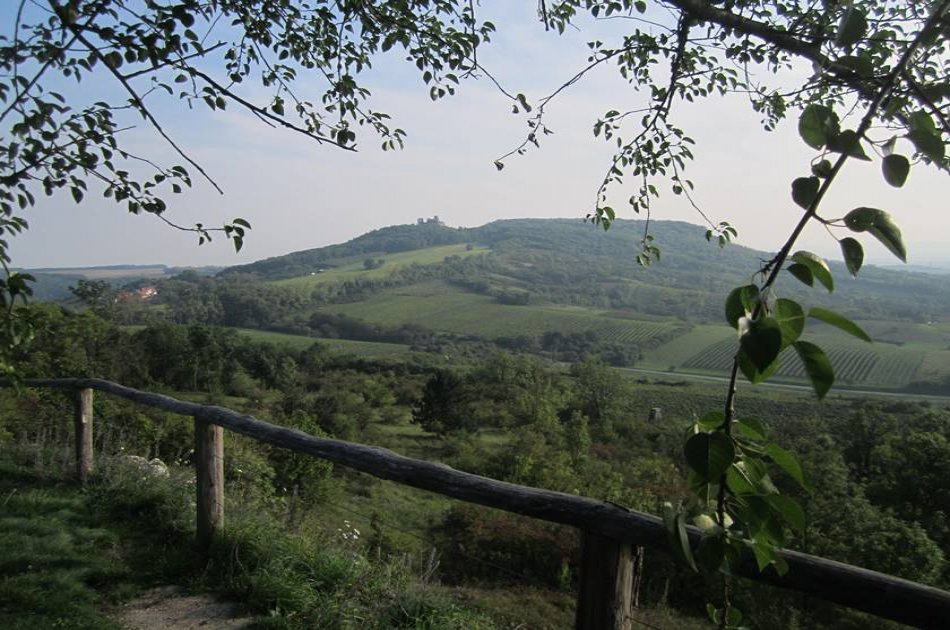 Unesco Lednice - Valtice Chateaux, wine town Mikulov, Palava Hills - Full Day Trip from Brno