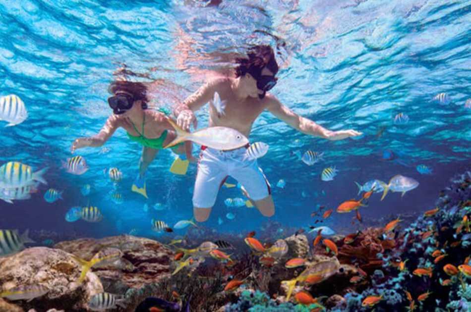 Private Soana or Catalina Island VIP Tour From Bayahibe