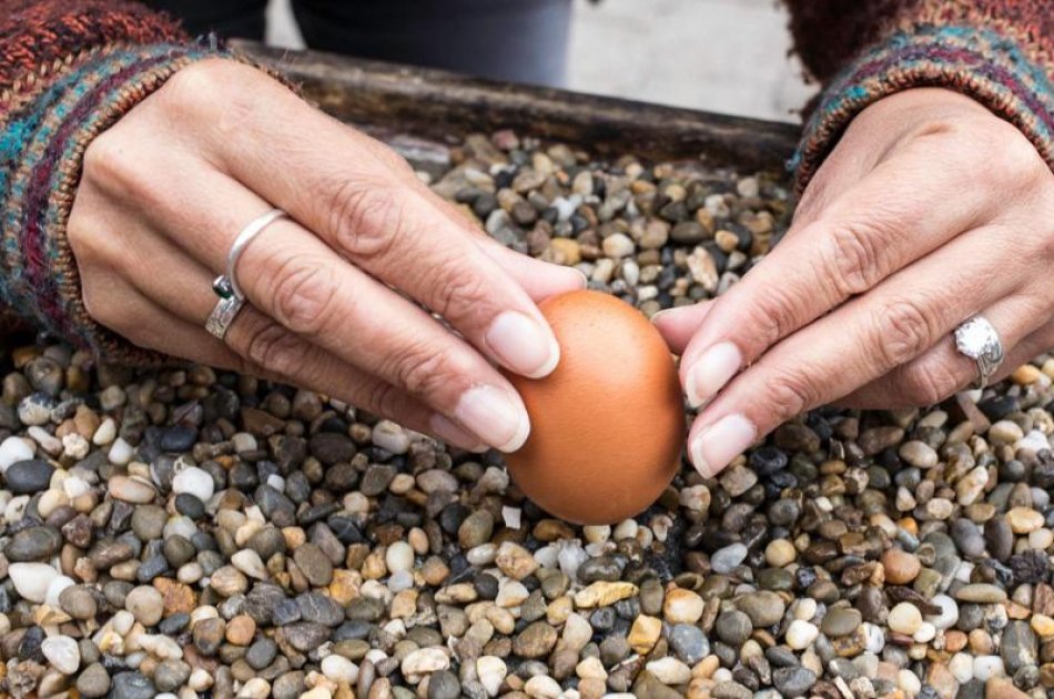 Experience this Authentic