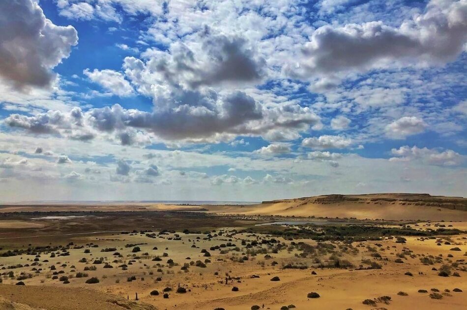 Day Tour from Cairo to Fayoum Oasis