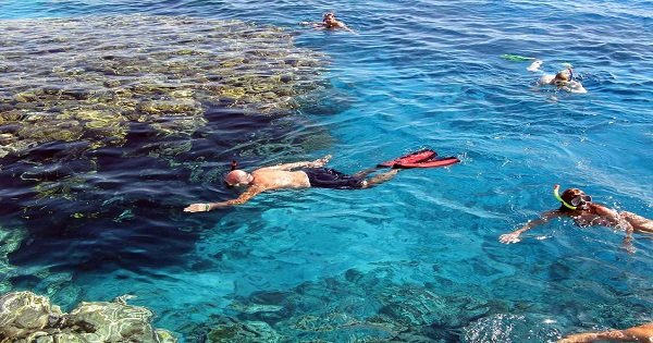 Day Trip Snorkeling At Port Ghalib Marina from Marsa Alam