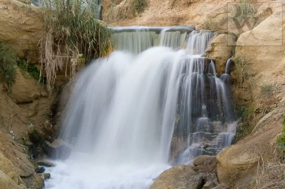 Fayoum Natural Lakes - Wadi Hitan & Wadi El Rayyan Private Overnights Stay