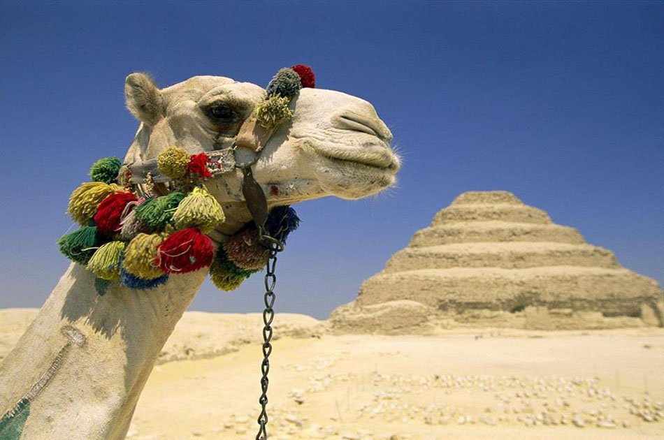 Full Day Private History of the Pyramids Tour With Camel Ride