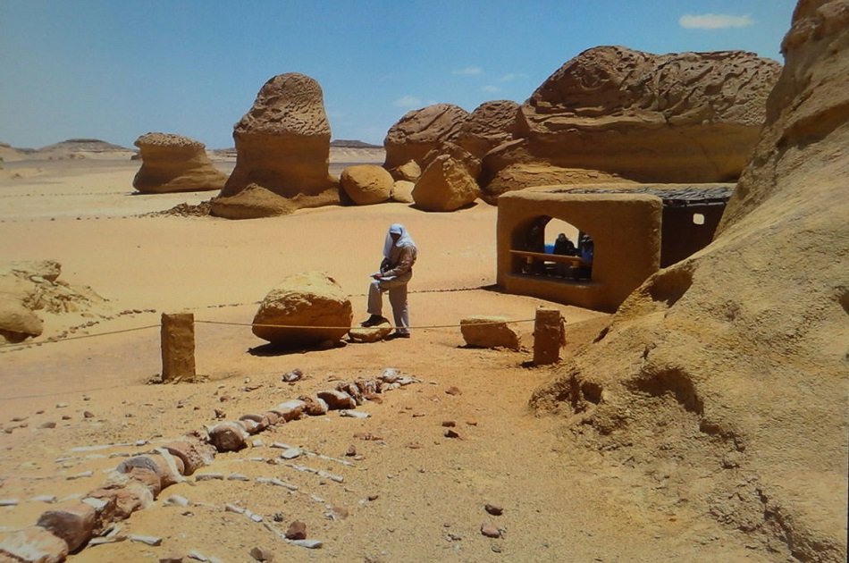 Full Day Private Tour To El Fayoum from Cairo