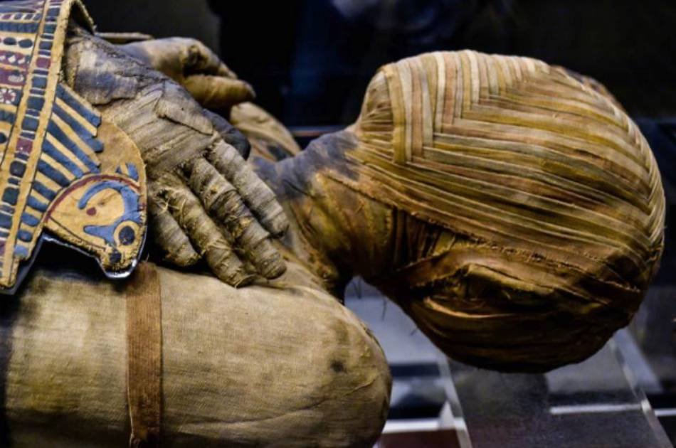 Half Day Group Tour To The Astounding Egyptian Museum