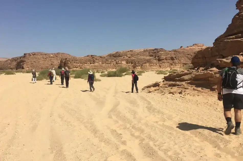 Morning Car Buggy Safari Hurghada