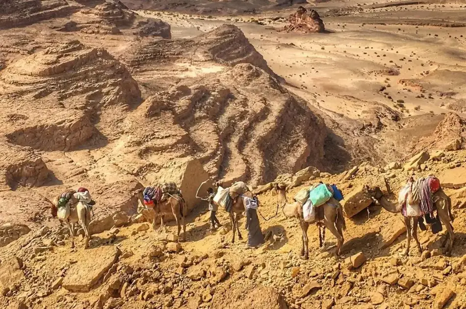 Morning Car Buggy Safari Hurghada
