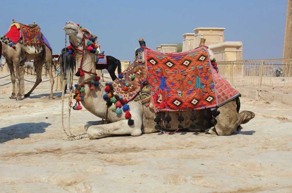 Private Pyramids, Sphinx and Khan El Khalili Bazaar Tour from Cairo
