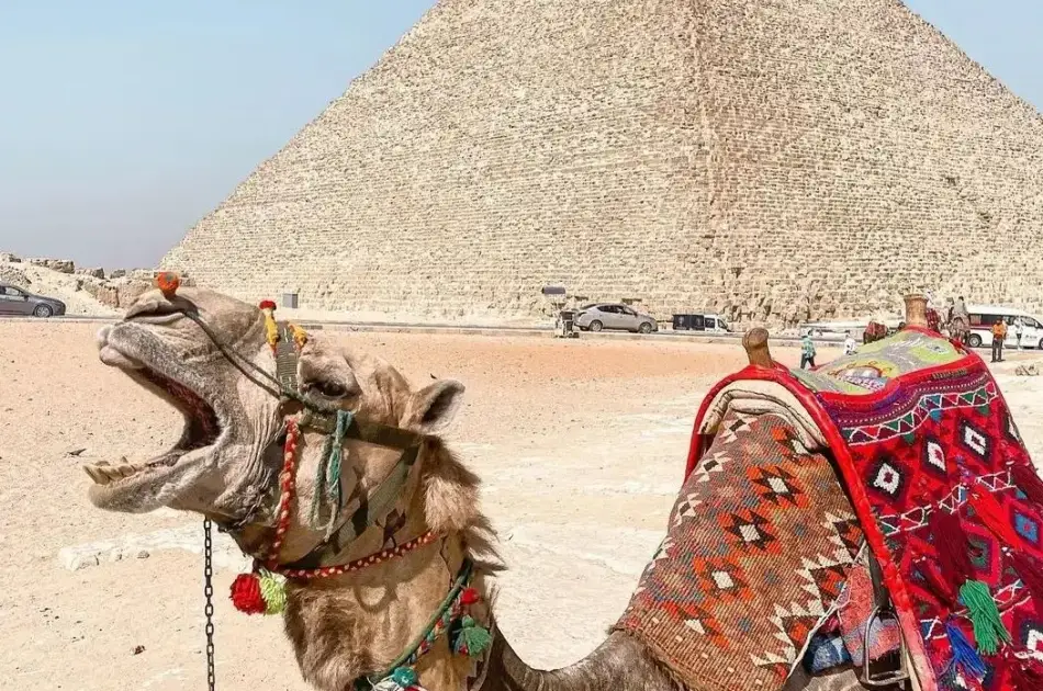 Private Tour from Cairo to Alexandria