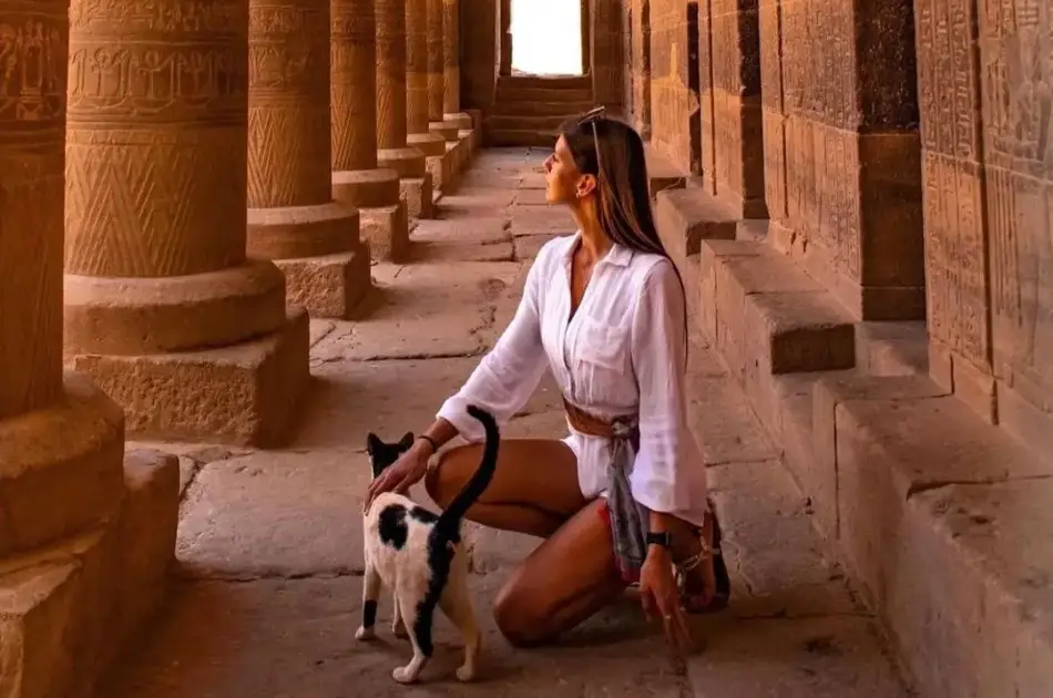 Private Tour from Cairo to Alexandria