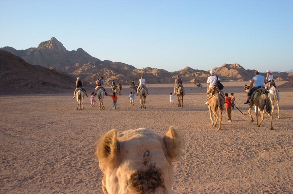 Sunset Safari trip by Quad Bike Hurghada