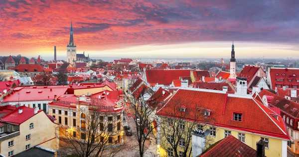 Guided Tallinn Day Sightseeing Small Group Tour From Helsinki