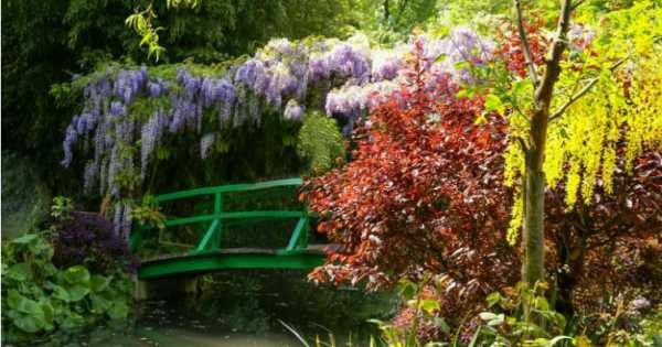 Audio Guided Tour of Giverny Monet's Gardens and the Palace of Versailles, Lunch Included
