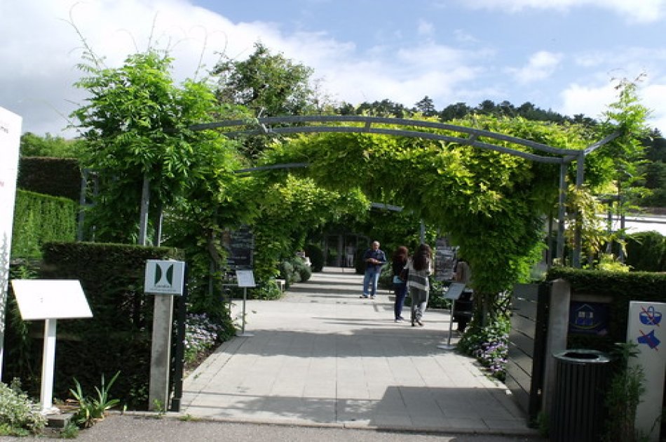 Giverny - Claude Monet’s Home and Gardens
