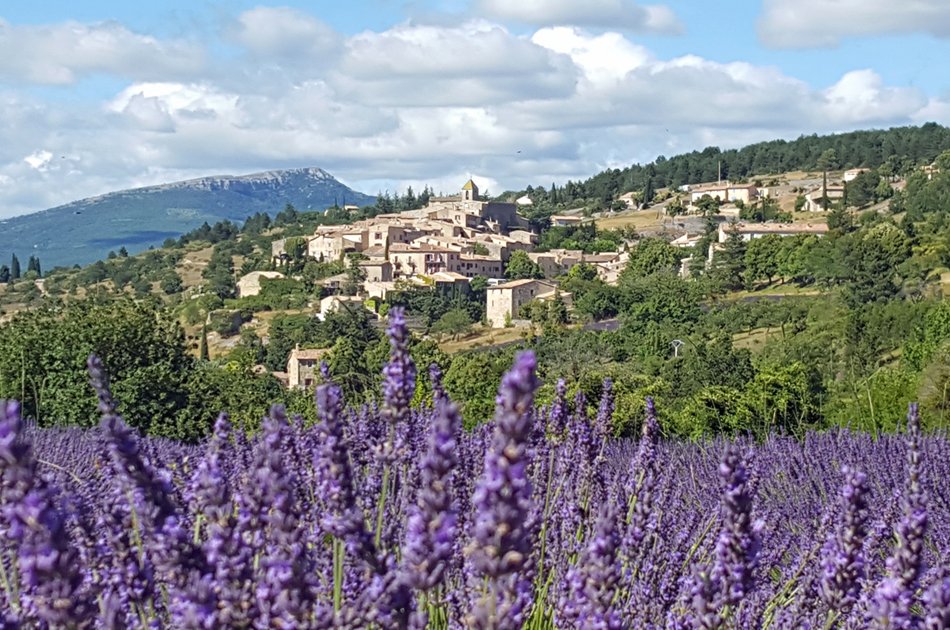 Private Lavender Tour in Sault from Avignon
