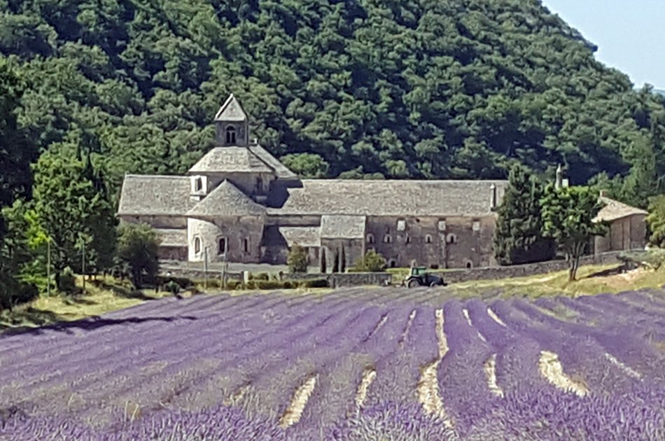 Private Lavender Tour in Sault from Avignon