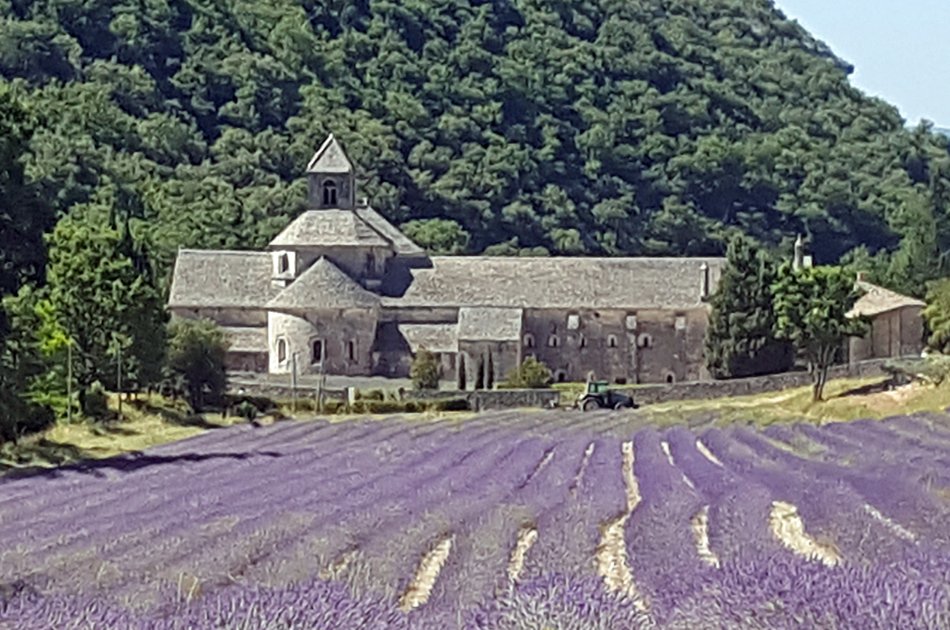 Private Lavender Tour in Sault from Avignon