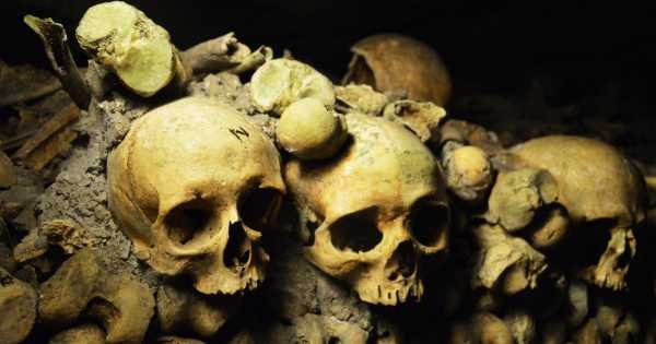 Skip the Line Guided Tour to the Paris Catacombs with off Limits Access