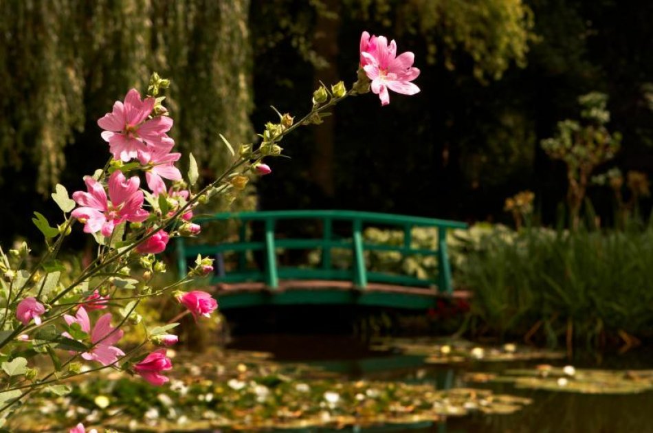 Visit Giverny & Versailles In The Same Day In A Guided Small Group With Lunch Included