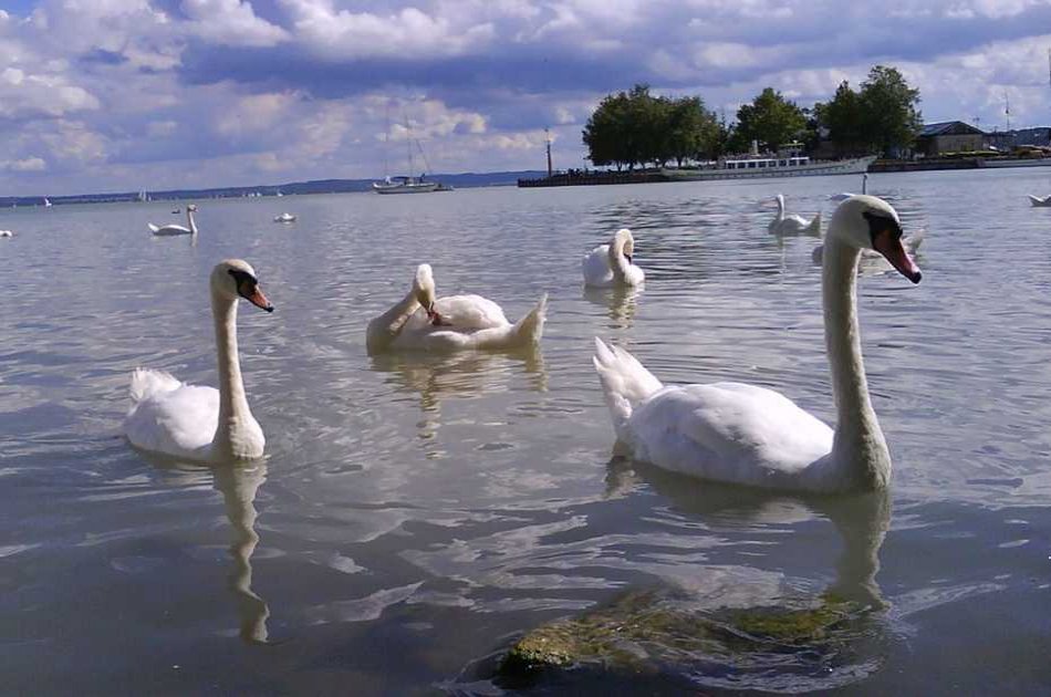 Private Lake Balaton & Herend Tour