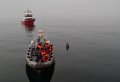 Best Whales & Puffins Tour From Reykjavik