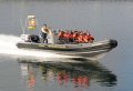 Best Whales & Puffins Tour From Reykjavik