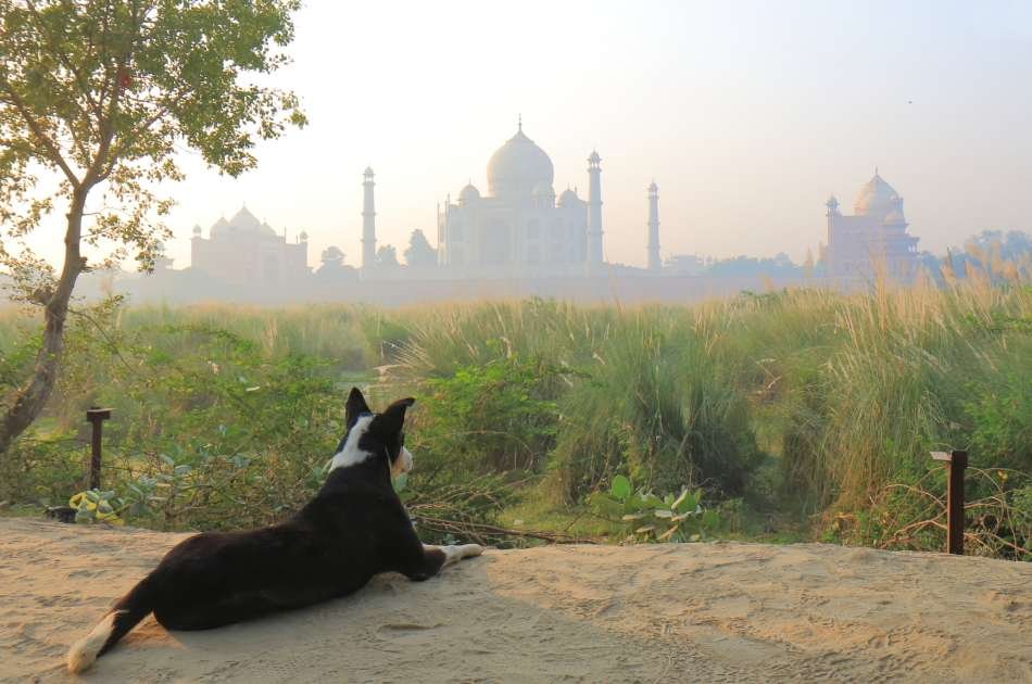 2-day Golden Triangle Private Tour of Jaipur and Agra From New Delhi