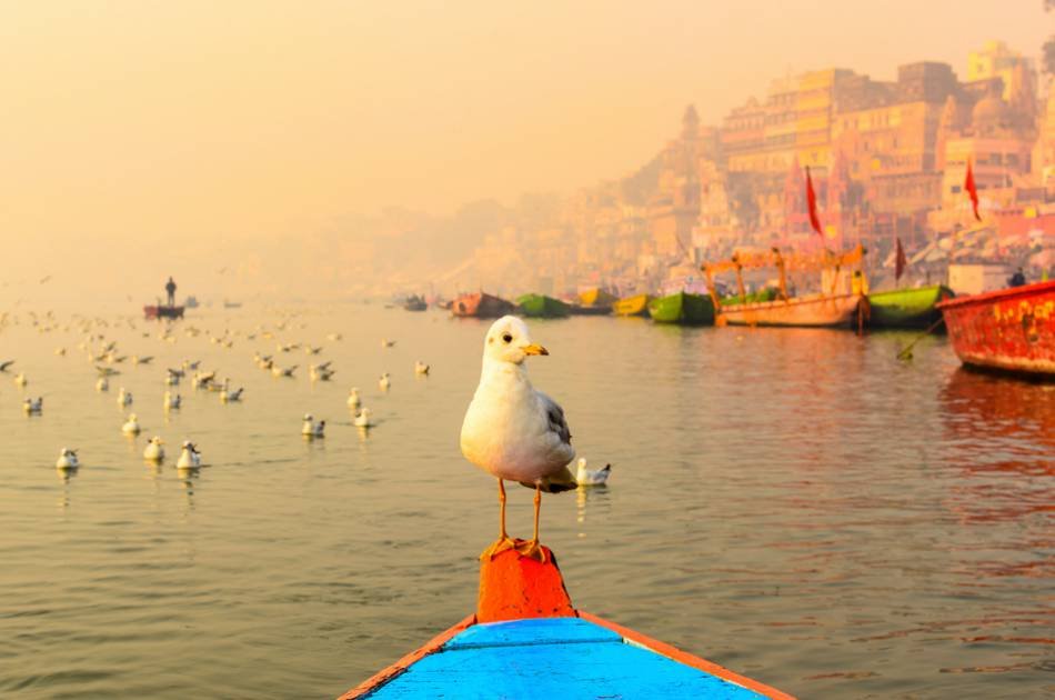 3 Day Sarnath Excursion With Varanasi