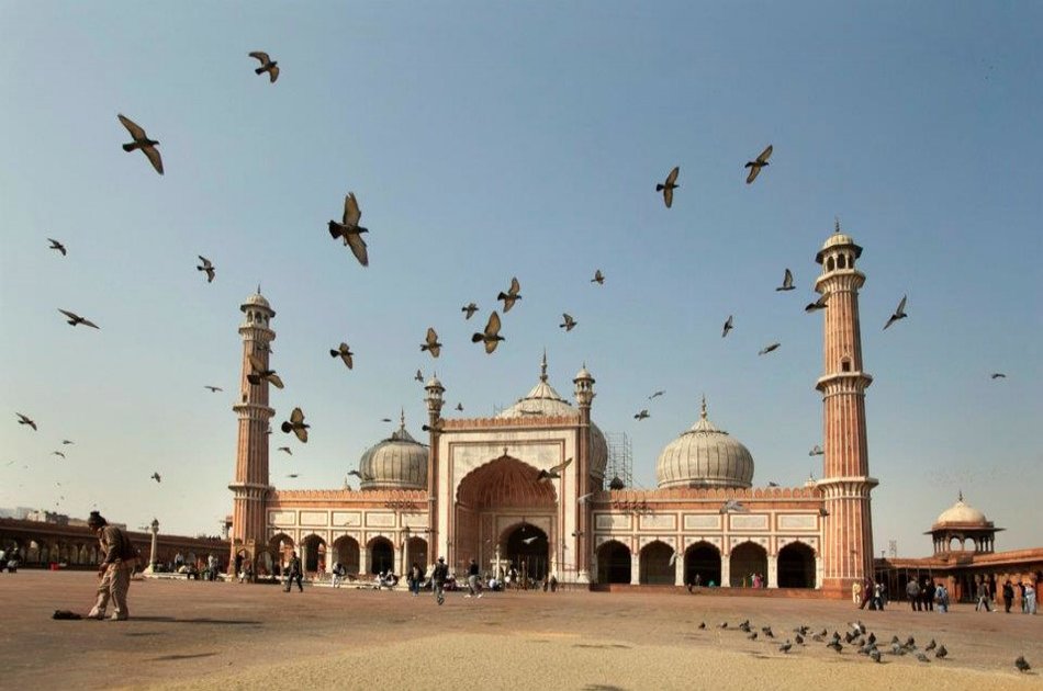 6 Days Private Golden Triangle Tour - Hotel & Car Inclusive