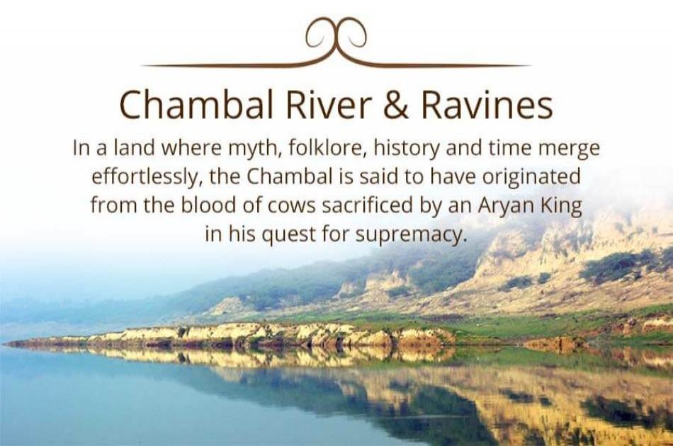 8 Day Golden Triangle And Chambal Safari Experience from Delhi