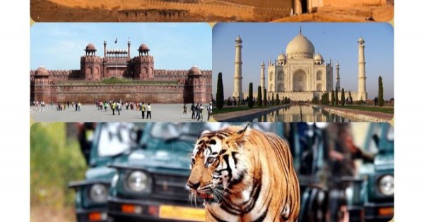 8-Day Golden Triangle Tour With Tiger Reserve