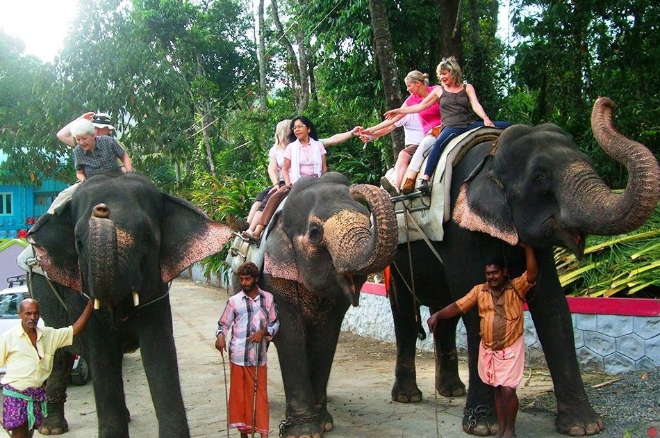 8 Day Kerala Tour from Cochin With Private Vehicle & English Speaking Driver